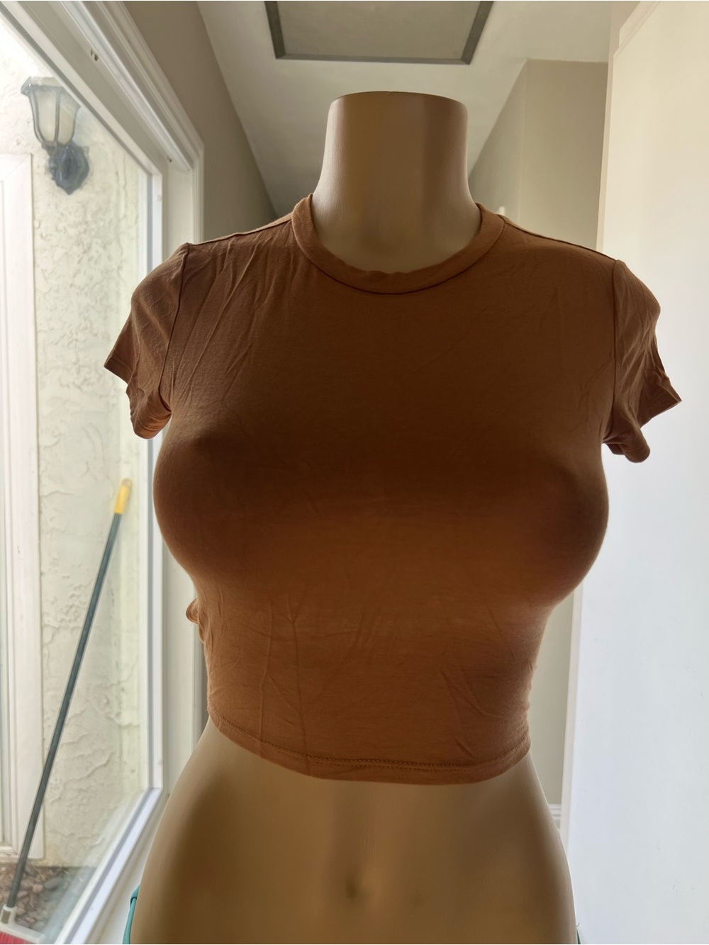 Forever 21 Rust Brown Cropped Tee
